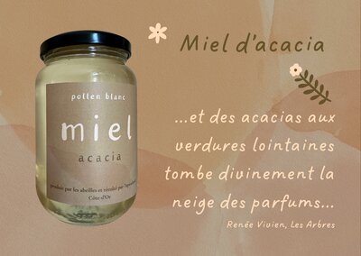 Miel d'acacia - 500g