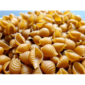 Conchiglie petit épeautre (450g) t110