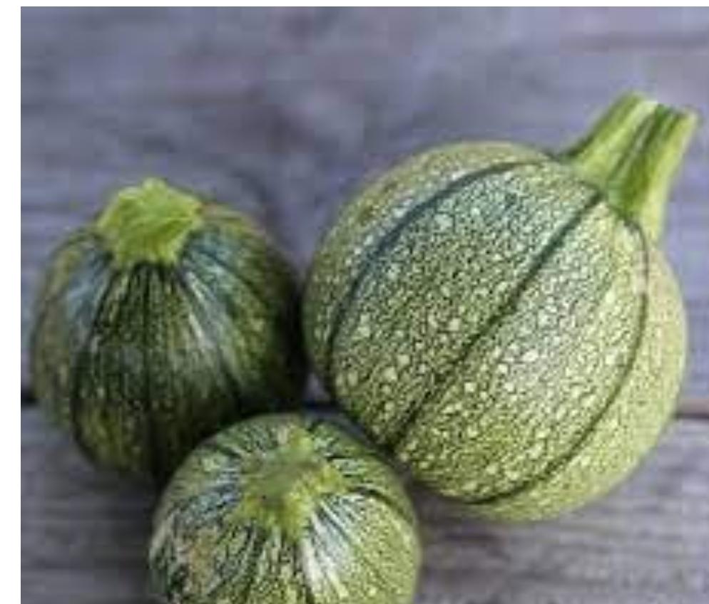 Courgette ronde - 1 u - Le Potager De La Couze - Locavor.fr