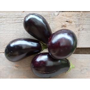 Aubergine violette