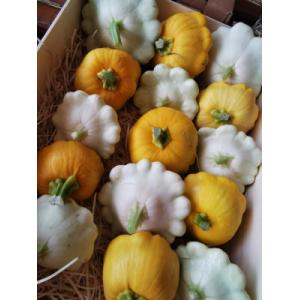 Patisson blanc ou jaune