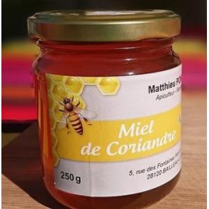 🍯 miel de coriandre – insolite & surprenant