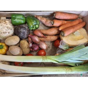 Grand panier de legumes