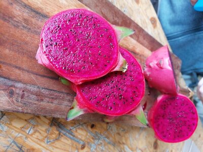 Pitaya à chair rouge - fruit du dragon
