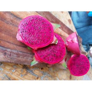 Pitaya à chair rouge - fruit du dragon