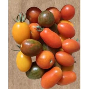 Tomates cerises panachees en 500gr