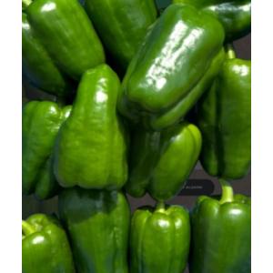 Poivrons verts (ou colorés)