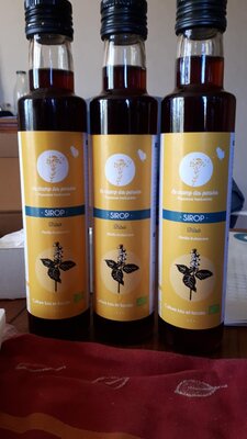 Sirop de rhubarbe