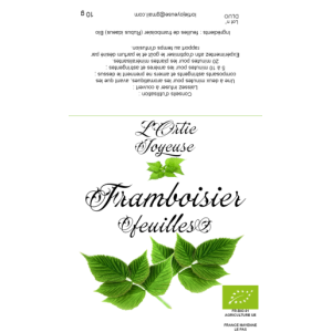 Framboisier feuille