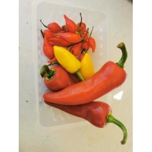 Piments assortiment