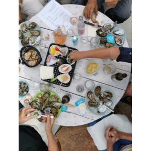 F. de claires m. oléron calibre 3:4 douzaines