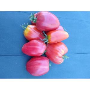 Tomates