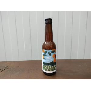 Bière abricot 33cl - promo ddm 28/08/26