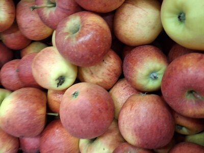 Pommes daliclass