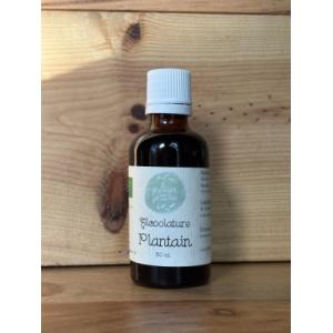 Alcoolature de plantain