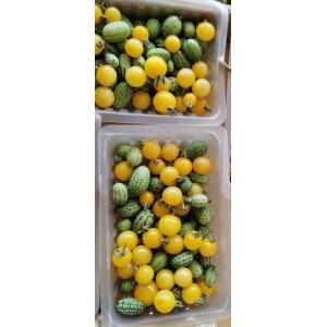 Duo cucamelons et tomates cerises