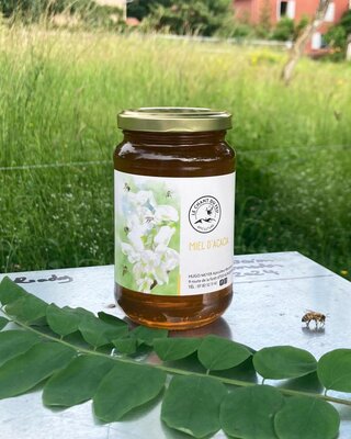 Miel d'acacia (500g)