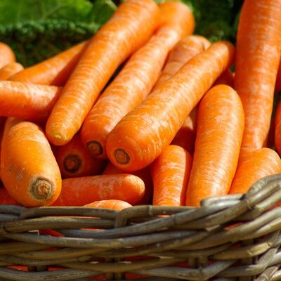 Carottes  bio