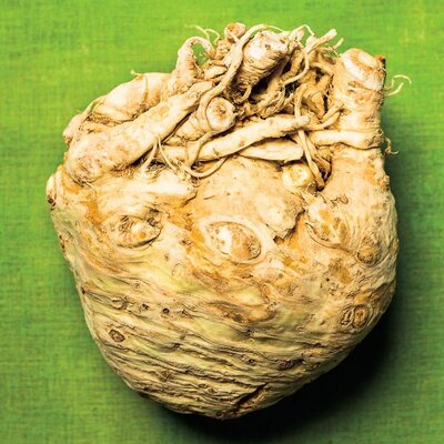 Céléri bio