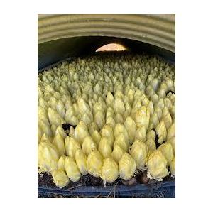 Endives bio