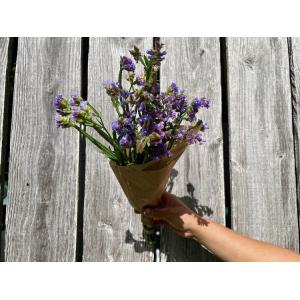 Fleurs botte - statice
