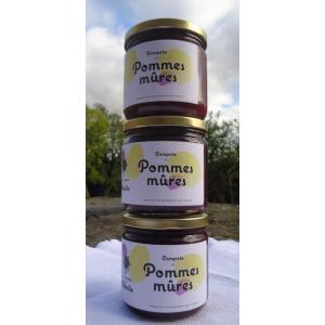 Compote bio de pomme mûre