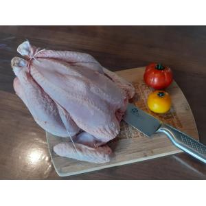 🍗 poulet bien dodu prêt à cuire🍴