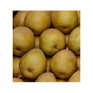 Poire variete morgane