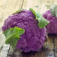 Chou-fleur-violet