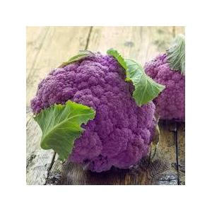 Chou-fleur-violet