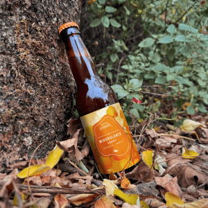 La mirobolante - ambrée à la mirabelle 75cl