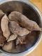 Poire de terre - 0.5 l - image 6