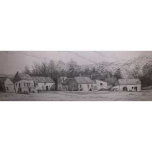 Oeufs bio - boîte de 6