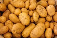 Pomme de terre monalisa