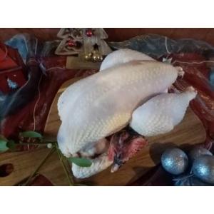 Poularde  de noel la touche ( max 2,5 kg)