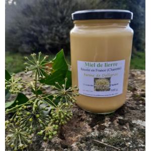 Miel de lierre
