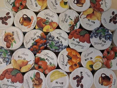 Yaourts myrtille (4*125g)