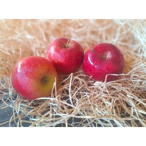 Pommes story betty fidalgo max 1kg