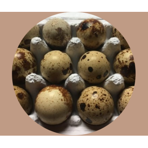 Oeufs de cailles par boîte de 6,12 ou 18