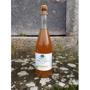 Pétillant pomme citron