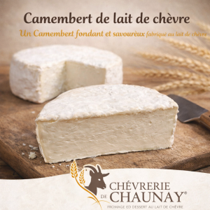 Camembert