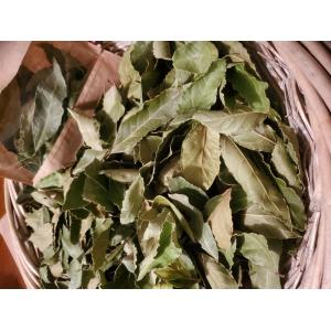 Laurier feuilles séchées bio