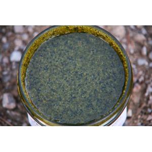 Spi nut noisettes & spiruline