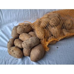 Pomme de terre nazca