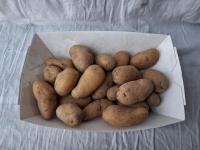 Pomme de terre grenaille