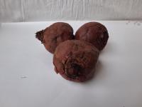 Betterave rouge cuite