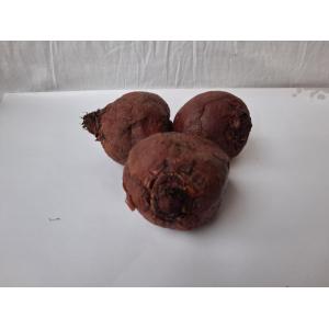 Betterave rouge cuite