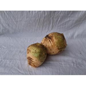 Rutabaga