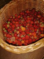 Confiture framboise fraise gingembre