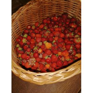 Confiture framboise fraise gingembre